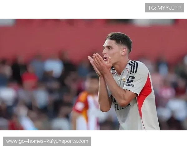 本菲卡拟把边路创造者列为下一阶段引援核心：打造全能边锋，引领未来进攻新格局