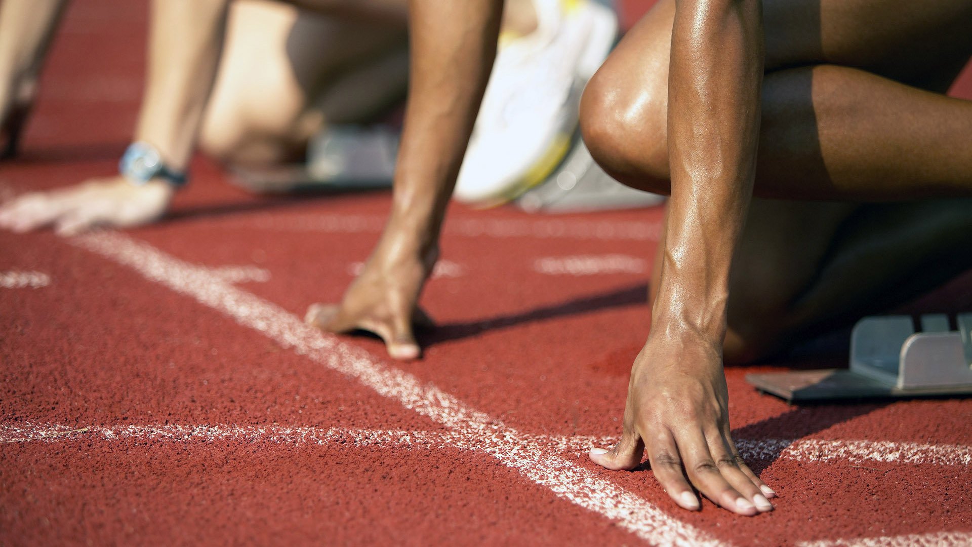 世界游泳锦标赛中国跳水队包揽金牌 全红婵十米台演出满分一跳,2021年的跳水游泳冠军